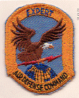 AF Air Defense Expert.gif (62018 bytes)