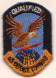 AF Air Defense Qualified.gif (45223 bytes)