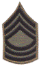 Enlisted E-8 Subdued MSG.gif (102370 bytes)