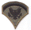 Enlisted Spec-5 Subdued.gif (54429 bytes)