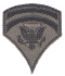 Enlisted Spec-6 Subdued.gif (67309 bytes)