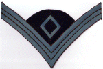 SAW Inf 1st Sgt-b.gif.gif (230901 bytes)