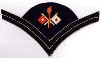 SAW Signal Corp Corporal-Left.gif.gif (243803 bytes)