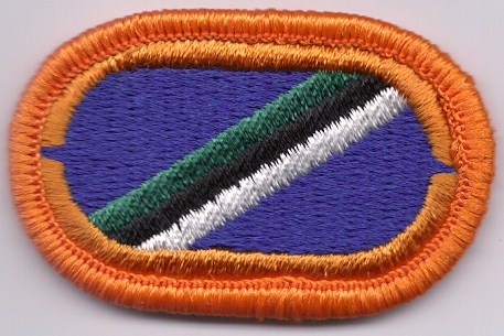 US Army 82nd Signal Battalion Airborne para oval patch #B 