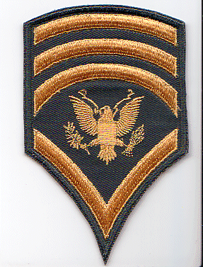 Army Specialist Details about   1968-1985 Institute of Heraldry Uniform Used Sample U.S E-4
